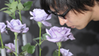 Japanese Website Is On The Scent